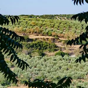 https://la-alegria-de-las-cuevas.es-andalucia.com